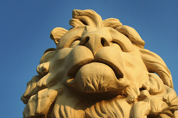 持续发卡平台的在线轰炸电话网页版